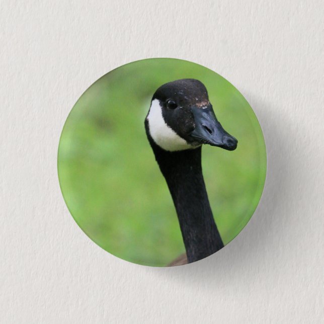 Vad då? knapp (Framsida)