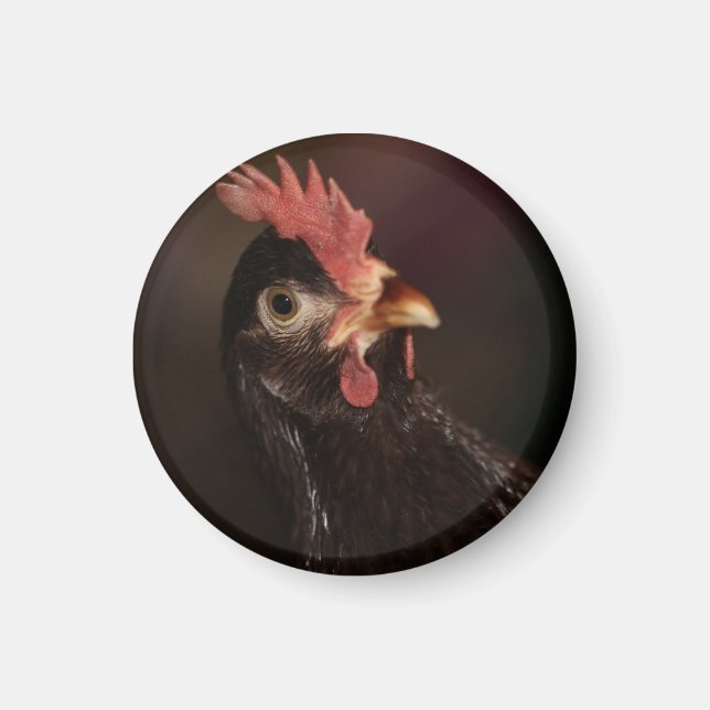 Vad då? magnet (Framsidan)