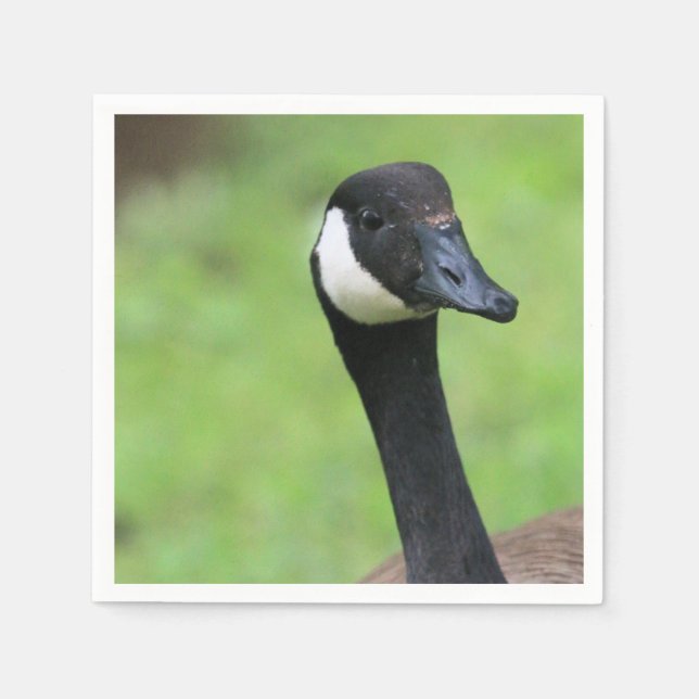 Vad då? pappersservett (Framsidan)