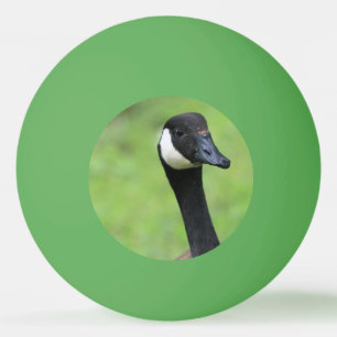 Vad då? pingisboll