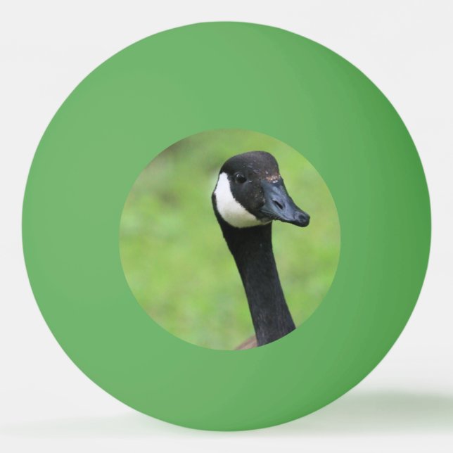 Vad då? pingisboll (Framsidan)