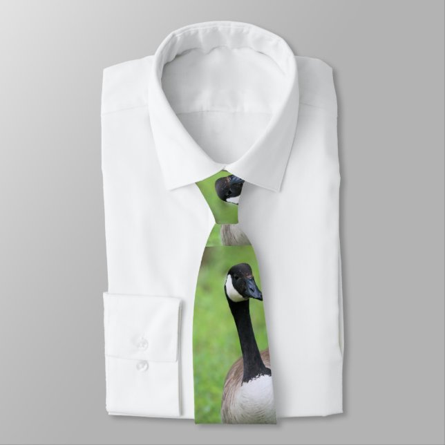 Vad då? slips (Bunden)