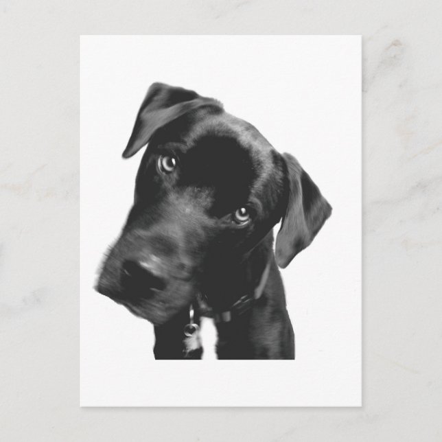 Vad då? vykort (Framsida)