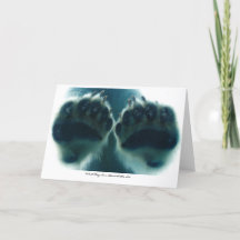 Vad de såg under isen