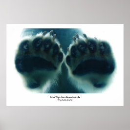 Vad de såg under isen poster