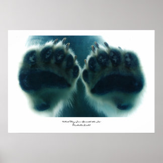 Vad de såg under isen poster