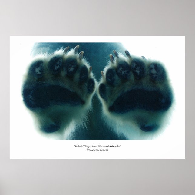 Vad de såg under isen poster (Framsidan)