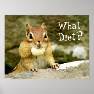 Vad Diet? Chipmunk Poster