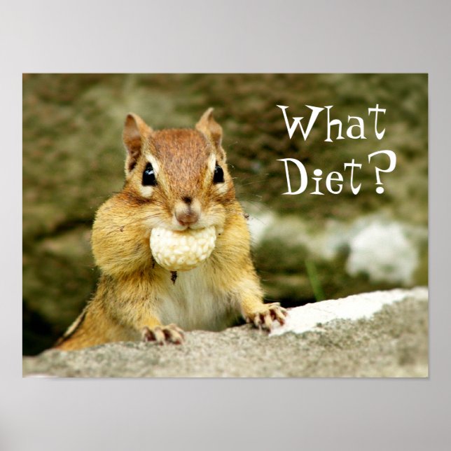 Vad Diet? Chipmunk Poster (Framsidan)