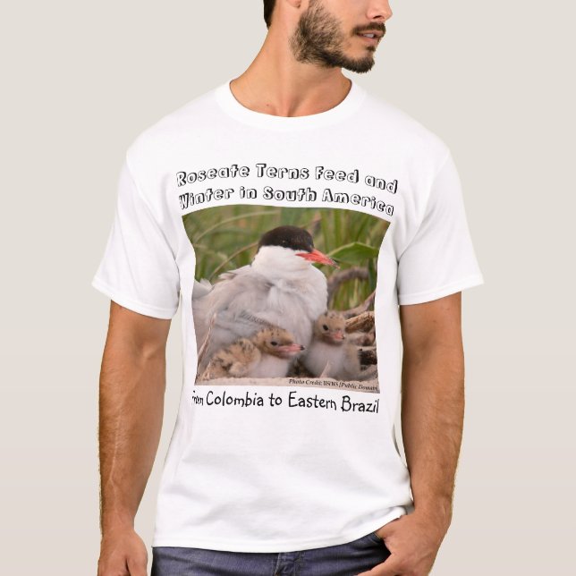 Vad dödar Roseate Terns? T-shirt (Framsida)