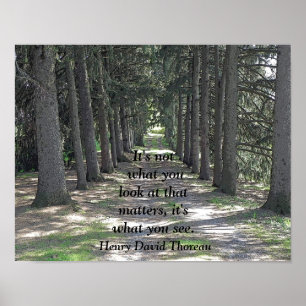 Vad du ser - Art print - Henry David Thoreau Poster