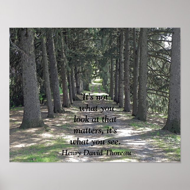 Vad du ser - Art print - Henry David Thoreau Poster (Framsidan)