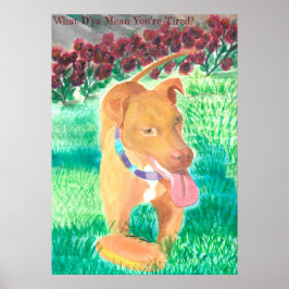 Vad D'ya-Elaket du är trött på? Poster