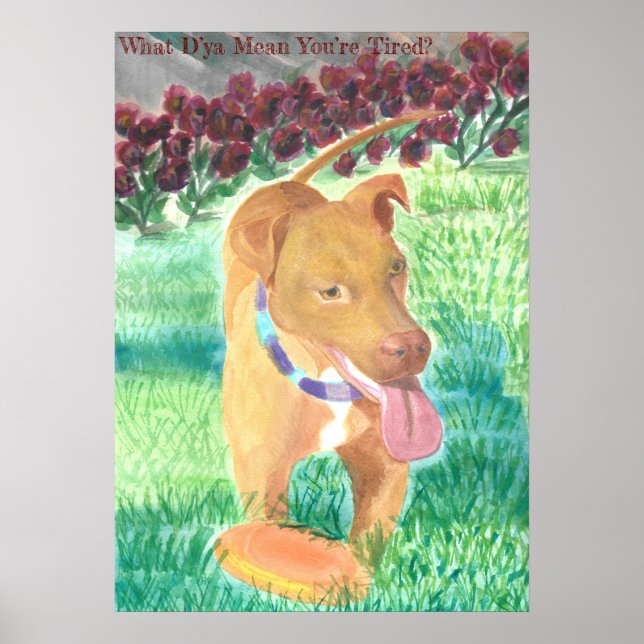 Vad D'ya-Elaket du är trött på? Poster (Framsidan)