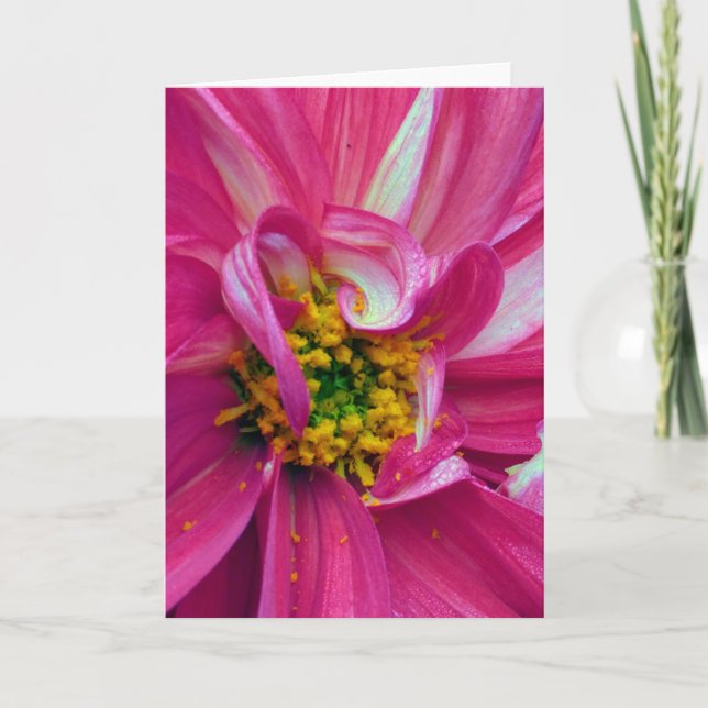 Vad finns i Ram? #4 Kort (Framsida)