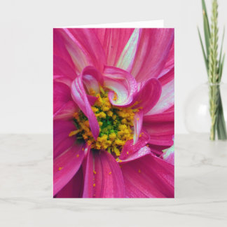 Vad finns i Ram? #4 Kort