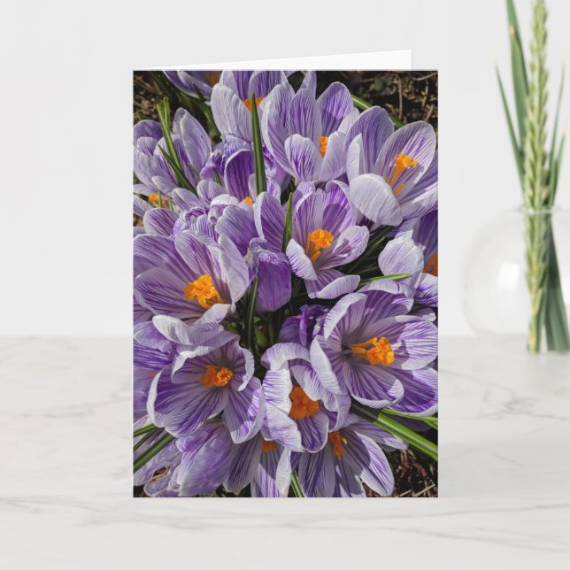 Vad finns i Ram? #9 Kort (Framsida)