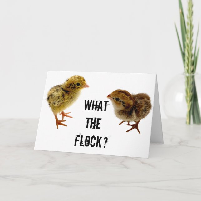 Vad Flock, Baby Quail Chick? Kort (Framsida)