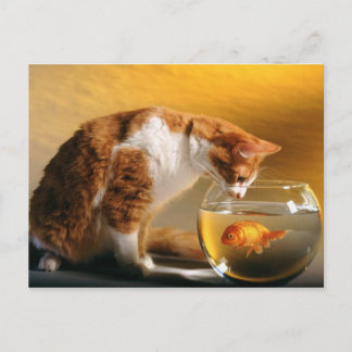 Vad för middag? Vykort