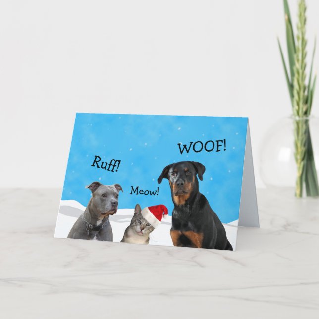 Vad förväntade du dig julkort? helgkort (Framsida)