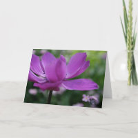 Vad gömmer du? Anemone Floral Photography Card