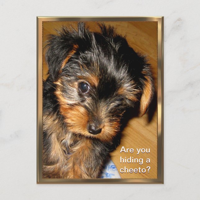 Vad gömmer du? Anpassade vykort (Framsida)