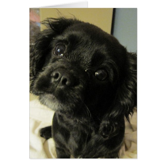 VAD? HÄLSNINGSKORT (Framsidan)