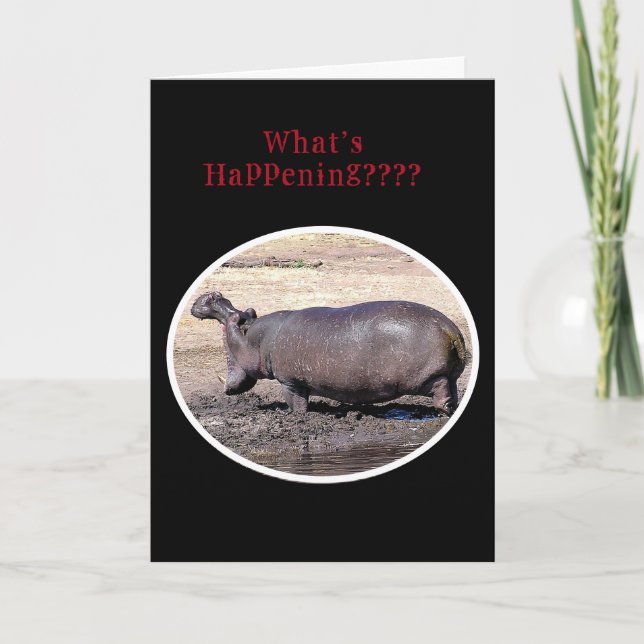 "Vad händer??/HIPPOPOTAMUS ROARING HÄLSNING? Helgkort (Framsida)