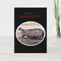 "Vad händer??/HIPPOPOTAMUS ROARING HÄLSNING?