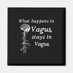 Vad händer i Vagus-stationer i Vagas Nervous Syste Magnet