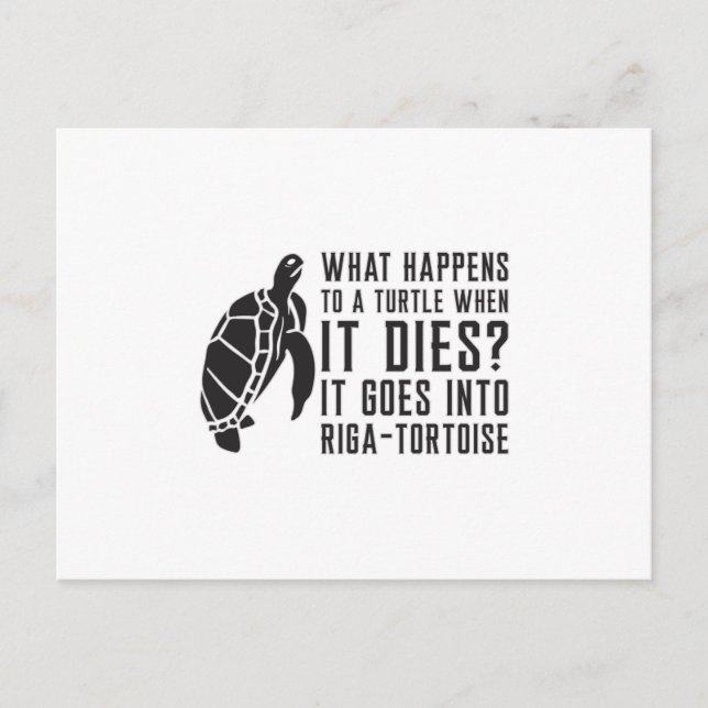 Vad Händer Med En Sköldpaddsentusiast Sköldpaddor  Vykort (Framsida)