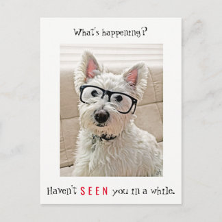 Vad händer, Westie Hund Wearing Glasses Vykort