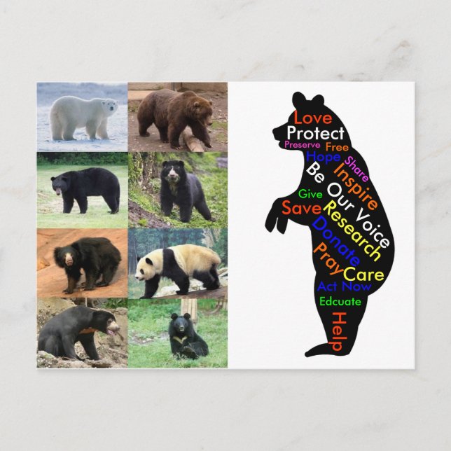 Vad kan du göra för att hjälpa? vykort (Framsida)