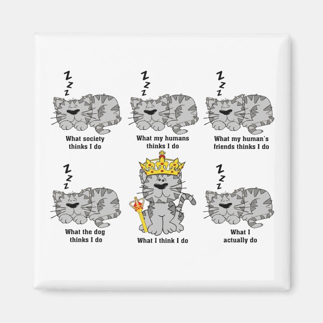 Vad katten tycker är roligt magnet (Framsidan)