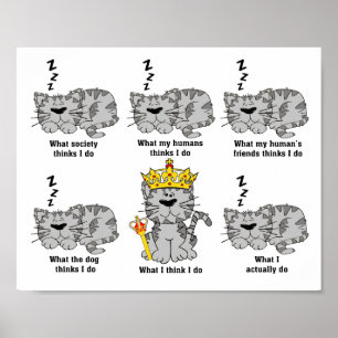 Vad katten tycker är roligt poster