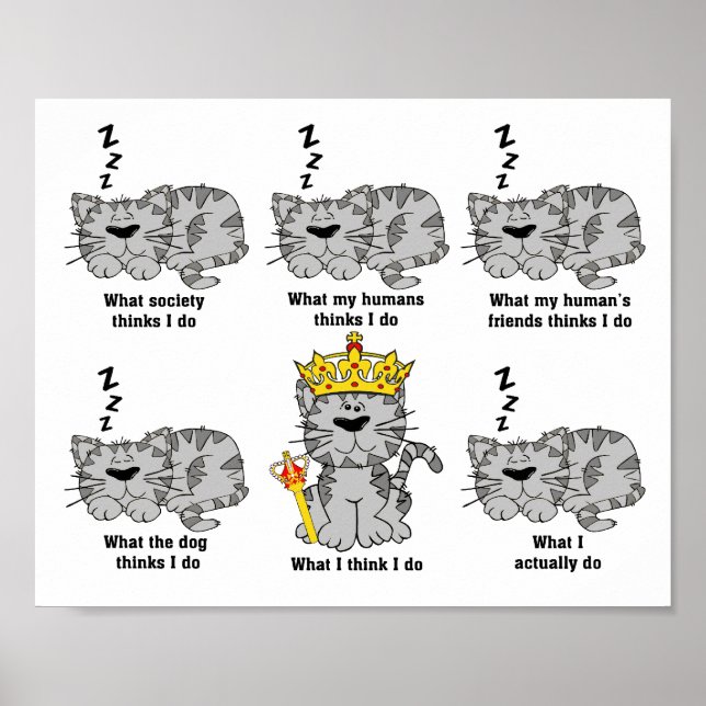 Vad katten tycker är roligt poster (Framsidan)