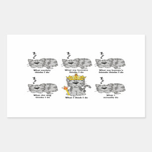 Vad katten tycker är roligt rektangulärt klistermärke