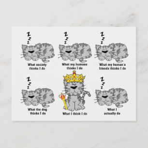 Vad katten tycker är roligt vykort