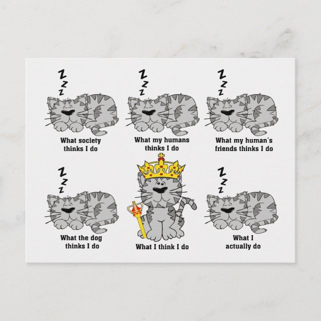 Vad katten tycker är roligt vykort (Framsida)