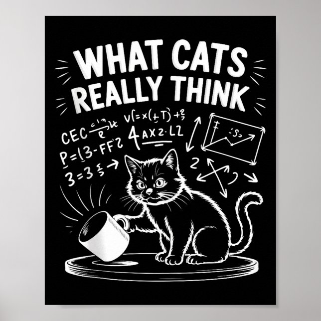 Vad katter tycker är roligt katt meme fysik humor  poster (Framsidan)