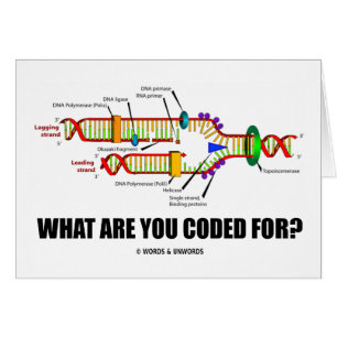 Vad kodifieras du för? (Dna-Replication) Hälsningskort