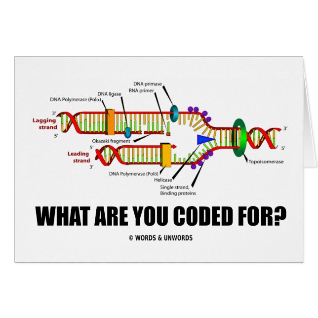 Vad kodifieras du för? (Dna-Replication) Hälsningskort (Framsidan Horizontal)