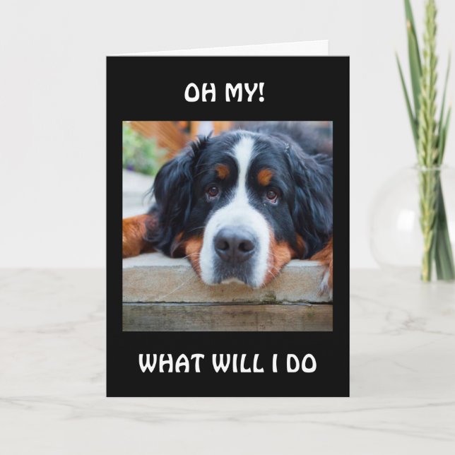 VAD KOMMER JAG ATT GÖRA "UTAN DIG"? KORT (Framsida)