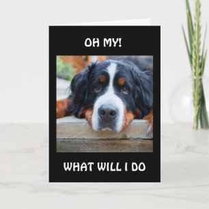 VAD KOMMER JAG ATT GÖRA "UTAN DIG"? KORT