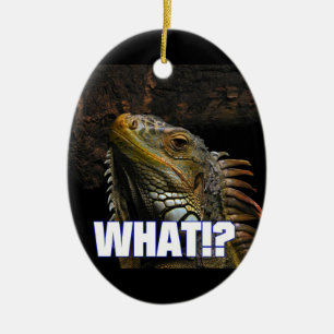Vad!? Leguan Julgransprydnad Keramik