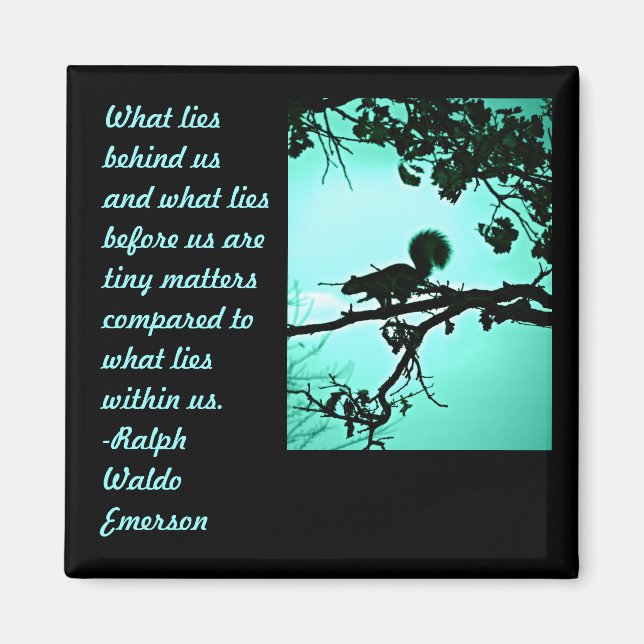 Vad Ljuger inom Magnet (Framsidan)