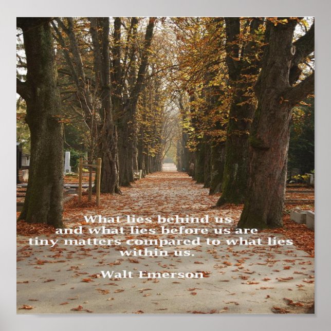 "Vad Ljuger inom oss" Poster (Framsidan)