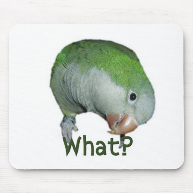 Vad? Musmatta (Framsidan)