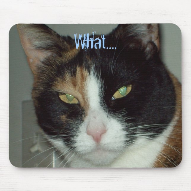 Vad…., Musmatta (Framsidan)