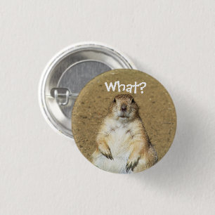 "Vad?" Prairie Hund Button Knapp